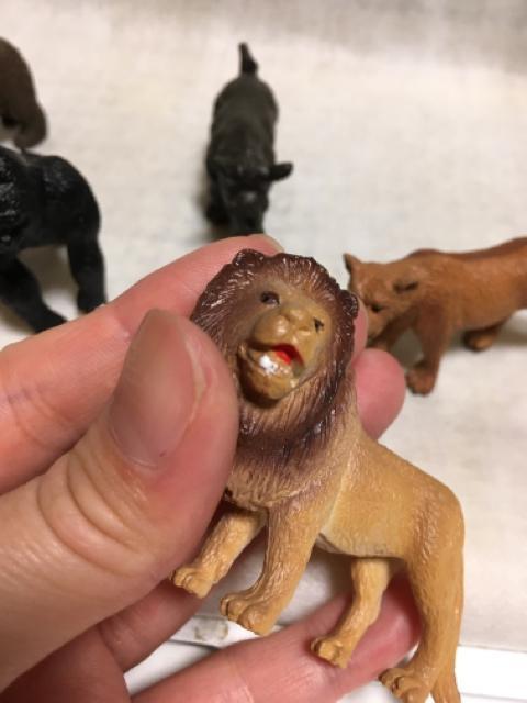 ※動物フィギュア < ホビー  ※動物フィギュア < ホビーの