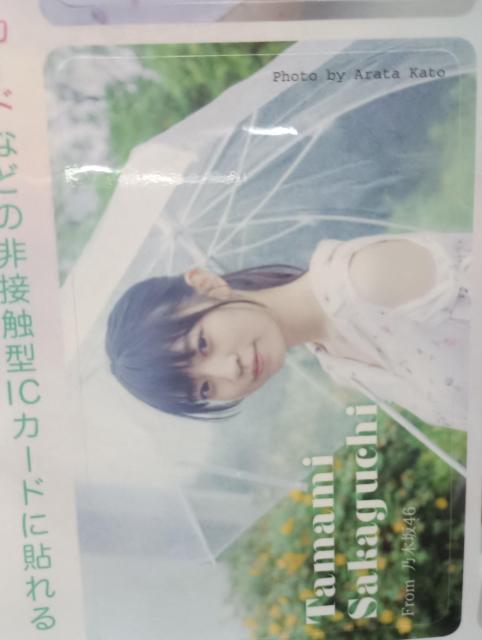 大園桃子、阪口珠美ICカードシール < ホビー  大園桃子、阪口珠美ICカードシール < ホビーの