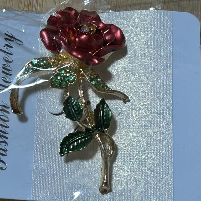 �u���[�` ���C���X�g�[�� �r�W���[ �K���X�X�g�[�� �t�H�[�}�� �A�N�Z�T���[�@�S�[�W���X �� �����A�N�Z�T���[/���v�� 