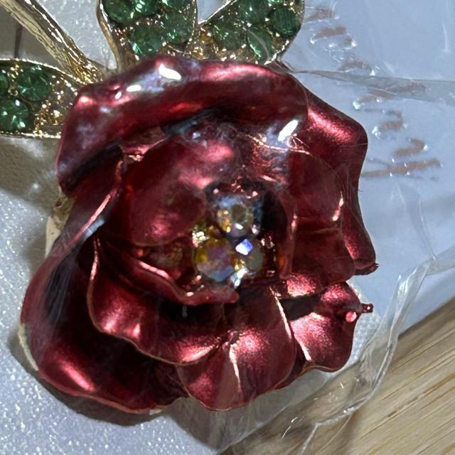 �u���[�` ���C���X�g�[�� �r�W���[ �K���X�X�g�[�� �t�H�[�}�� �A�N�Z�T���[�@�S�[�W���X �� �����A�N�Z�T���[/���v�� 