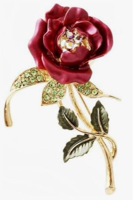 �u���[�` ���C���X�g�[�� �r�W���[ �K���X�X�g�[�� �t�H�[�}�� �A�N�Z�T���[�@�S�[�W���X �� �����A�N�Z�T���[/���v�� 