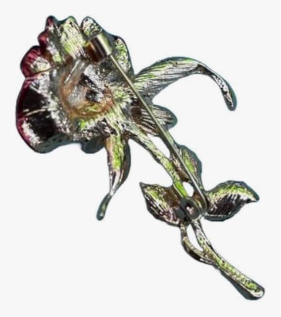 �u���[�` ���C���X�g�[�� �r�W���[ �K���X�X�g�[�� �t�H�[�}�� �A�N�Z�T���[�@�S�[�W���X �� �����A�N�Z�T���[/���v�� 