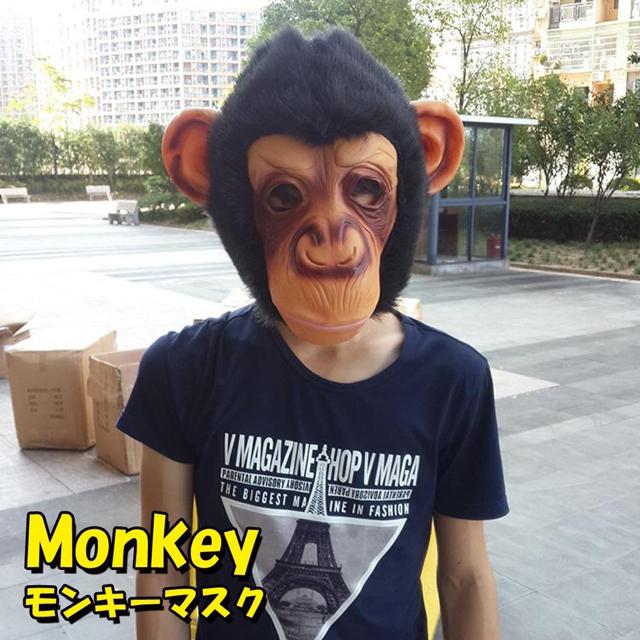 L[}XN  }XN T L[ `pW[    