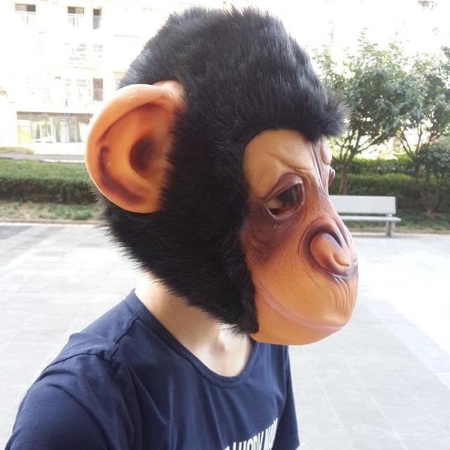 L[}XN  }XN T L[ `pW[   