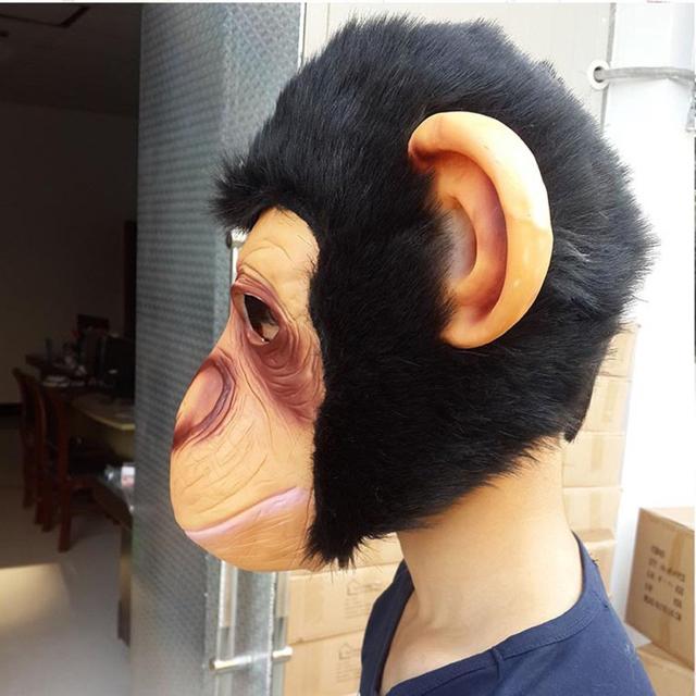 L[}XN  }XN T L[ `pW[   