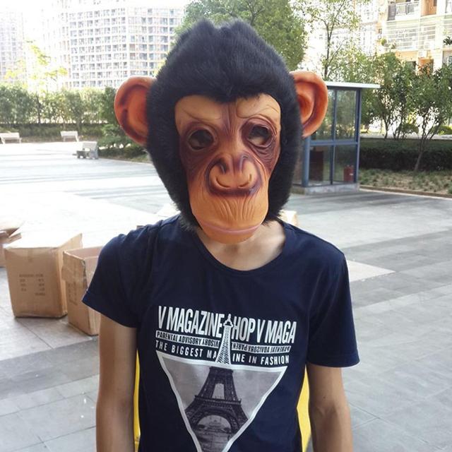 L[}XN  }XN T L[ `pW[   