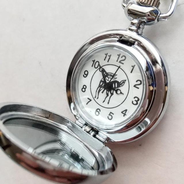 v@@@500~ʂ͑傫{ł  jANZT[/v 