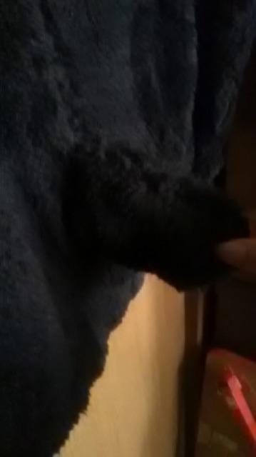 25*新品*モコモコパーカー < 女性ファッション  25*新品*モコモコパーカー < 女性ファッションの