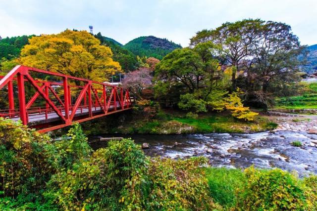 LV[Y SRtZbg{ꐁւ  CD/DVD/rfI 