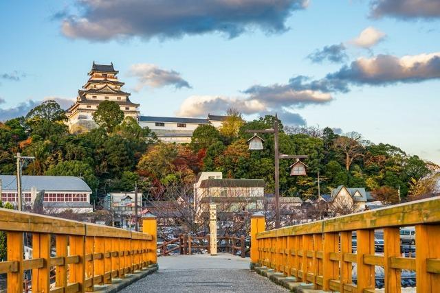 LV[Y SRtZbg{ꐁւ  CD/DVD/rfI 