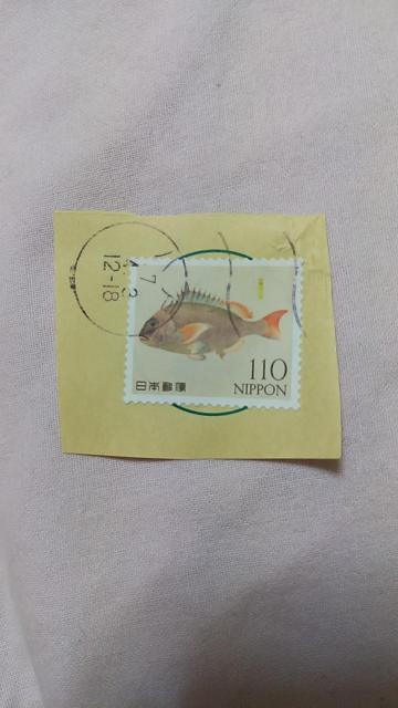 �k�g�p�ςݐ؎�l�^��@���R�̋L�^�V���[�Y��5�e 