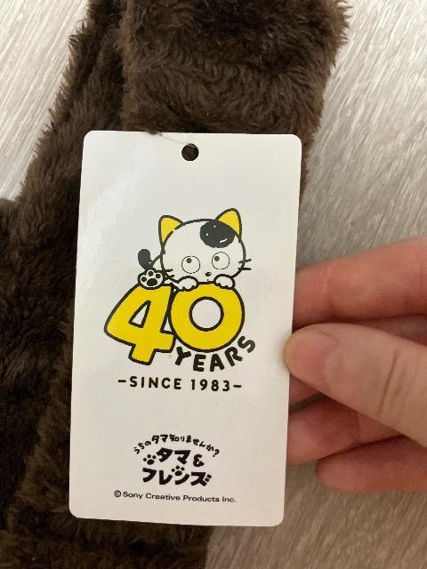 うちのタマ ヘアバンド < 女性アクセサリー/時計  うちのタマ ヘアバンド < 女性アクセサリー/時計の