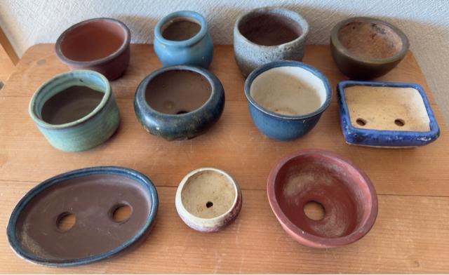 F 盆栽鉢 豆盆栽鉢 山野草鉢 多肉植物鉢 植木鉢 11鉢セット陶器製落款印あり < ペット/手芸/園芸 F 盆栽鉢 豆盆栽鉢 山野草鉢 多肉植物鉢 植木鉢 11鉢セット陶器製落款印あり < ペット/手芸/園芸の