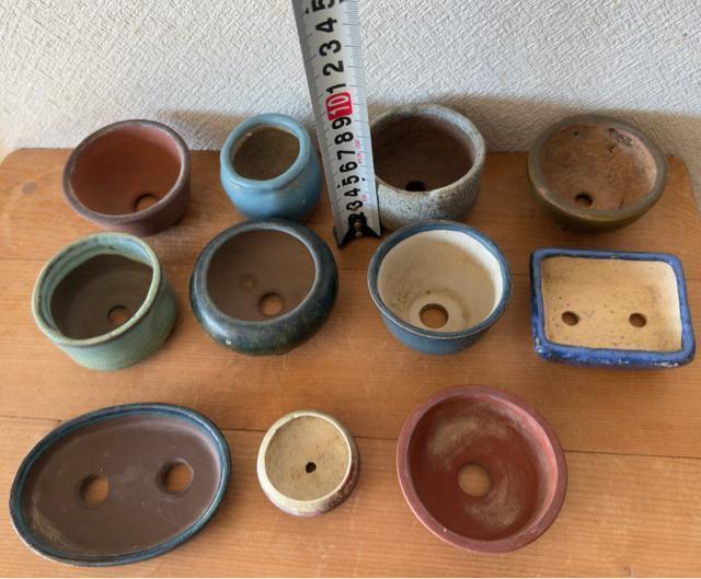 F 盆栽鉢 豆盆栽鉢 山野草鉢 多肉植物鉢 植木鉢 11鉢セット陶器製落款印あり < ペット/手芸/園芸 F 盆栽鉢 豆盆栽鉢 山野草鉢 多肉植物鉢 植木鉢 11鉢セット陶器製落款印あり < ペット/手芸/園芸の