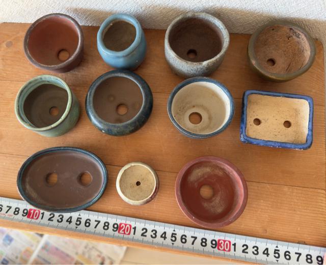F 盆栽鉢 豆盆栽鉢 山野草鉢 多肉植物鉢 植木鉢 11鉢セット陶器製落款印あり < ペット/手芸/園芸 F 盆栽鉢 豆盆栽鉢 山野草鉢 多肉植物鉢 植木鉢 11鉢セット陶器製落款印あり < ペット/手芸/園芸の