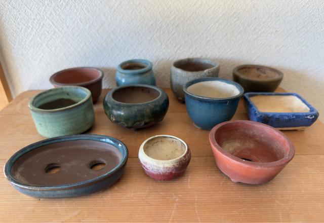F 盆栽鉢 豆盆栽鉢 山野草鉢 多肉植物鉢 植木鉢 11鉢セット陶器製落款印あり < ペット/手芸/園芸 F 盆栽鉢 豆盆栽鉢 山野草鉢 多肉植物鉢 植木鉢 11鉢セット陶器製落款印あり < ペット/手芸/園芸の