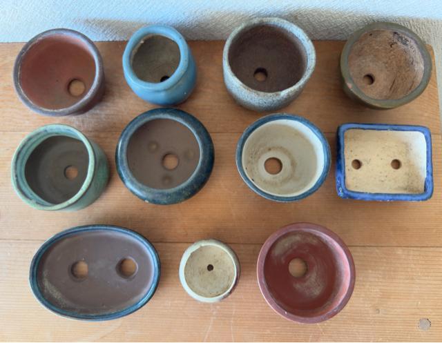 F 盆栽鉢 豆盆栽鉢 山野草鉢 多肉植物鉢 植木鉢 11鉢セット陶器製落款印あり < ペット/手芸/園芸 F 盆栽鉢 豆盆栽鉢 山野草鉢 多肉植物鉢 植木鉢 11鉢セット陶器製落款印あり < ペット/手芸/園芸の