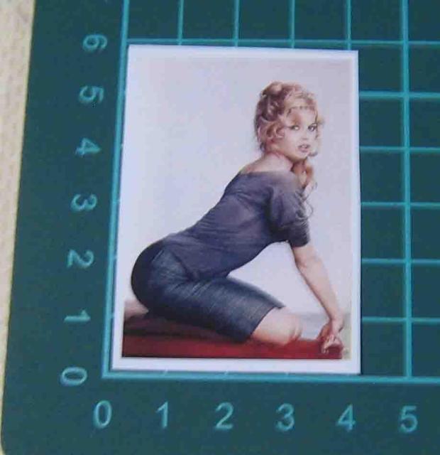 �u���W�b�h�E�o���h�[�@�X�e�b�J�[�@4���Z�b�g  �� �z�r�[�� 