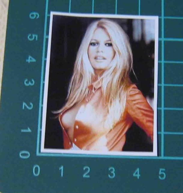 �u���W�b�h�E�o���h�[�@�X�e�b�J�[�@4���Z�b�g �� �z�r�[�� 