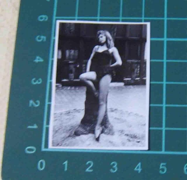 �u���W�b�h�E�o���h�[�@�X�e�b�J�[�@4���Z�b�g �� �z�r�[�� 