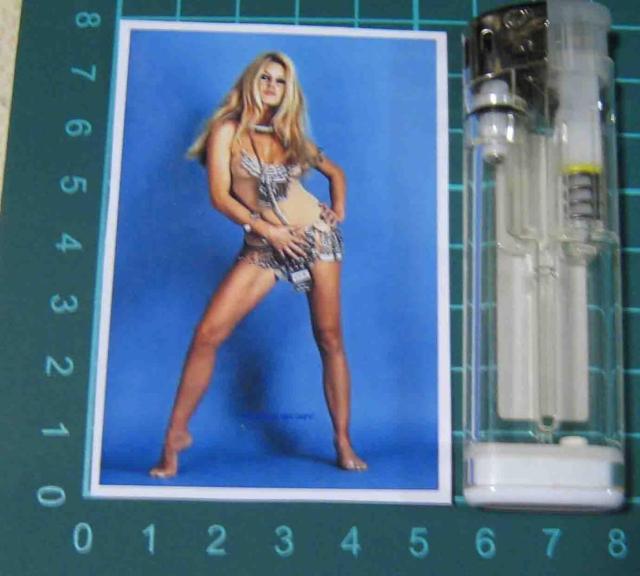 �u���W�b�h�E�o���h�[�@�X�e�b�J�[�@4���Z�b�g �� �z�r�[�� 