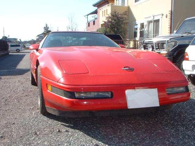 h̖͂{X|[cJ[Rxbg  /oCN