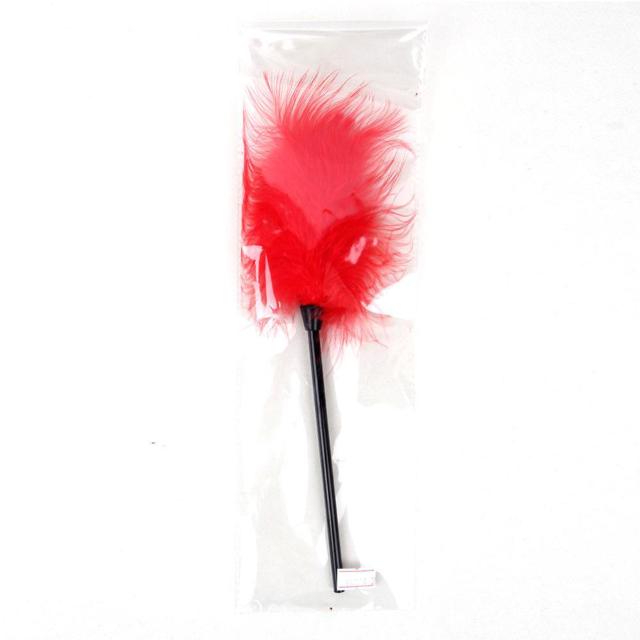 tFU[XeBbN _ RXvpANZT[ bh  t@bV 