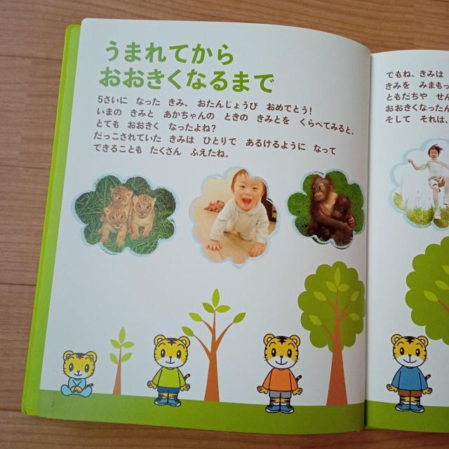 4さいになる本 5さいになる本 Benesse こどもちゃれんじ < 本/雑誌  4さいになる本 5さいになる本 Benesse こどもちゃれんじ < 本/雑誌の