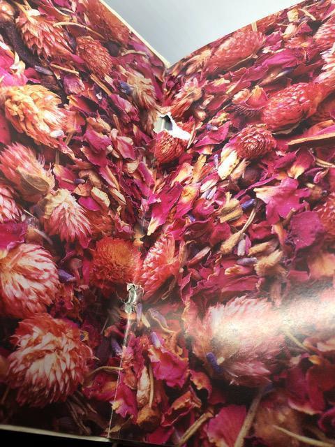 }NX@E~C tBMA@  Aj/R~bN/LN^[ 