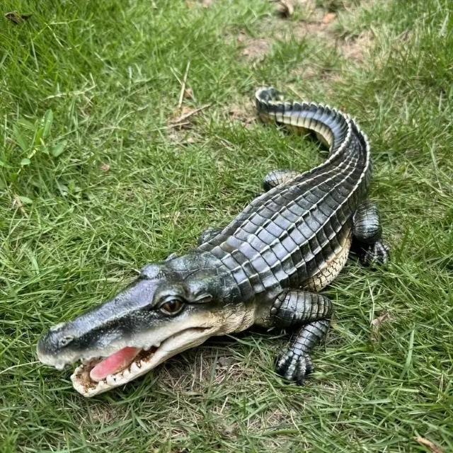 爆ヤス価格2990円★13インチのリアルなワニの置物 - 庭、パティオ用の樹脂製動物の装飾 - 屋内と屋外の使用、電気不要 < ホビー 爆ヤス価格2990円★13インチのリアルなワニの置物 - 庭、パティオ用の樹脂製動物の装飾 - 屋内と屋外の使用、電気不要 < ホビーの