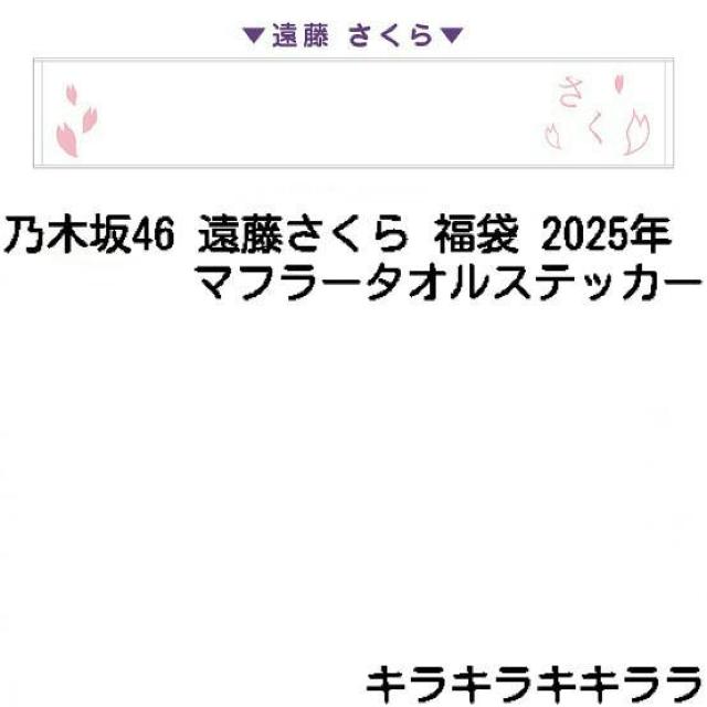 sNewt2025NLucky Bag/܁ET؍46yz}t[^I XebJ[   ^gObY 