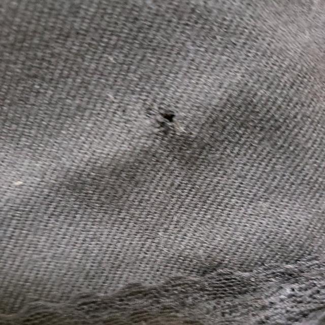 黒フリルスカート < 女性ファッション  黒フリルスカート < 女性ファッションの