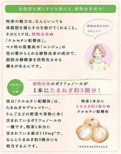 Tg[ ɉEq   500ml~24{  O/hN 