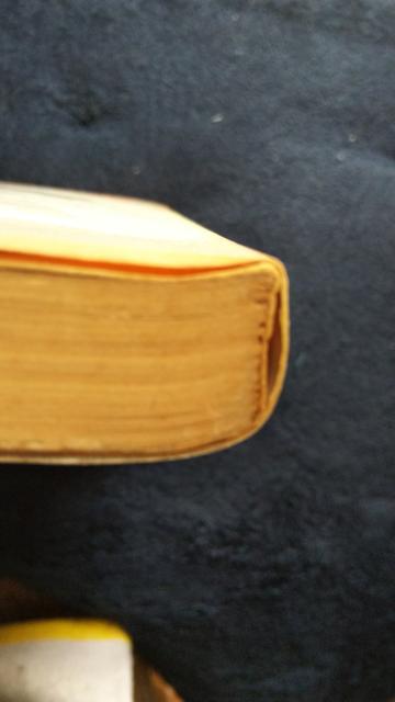 ���A���R�P���ƃ^�P�q����P���A�悱���Ƃ��� �� �A�j��/�R�~�b�N/�L�����N�^�[�� 