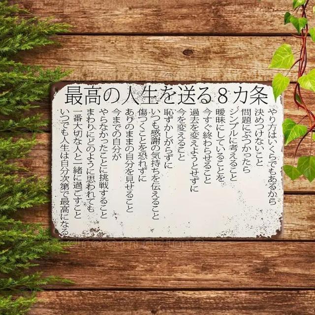 i790~Be[WŔAl8̃[AǏAMtgɍœK 30cm~20 