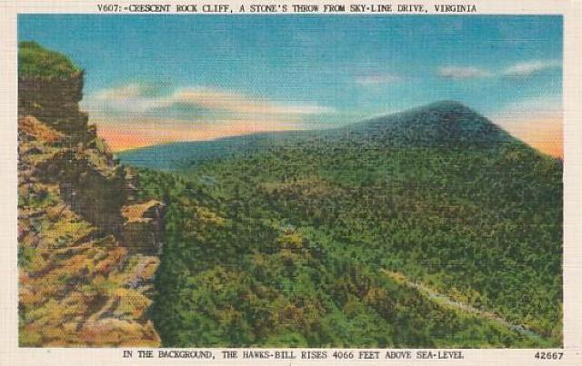 古き良き時代のアメリカ ポストカード 3種【E-8】 < ホビー 古き良き時代のアメリカ ポストカード 3種【E-8】 < ホビーの