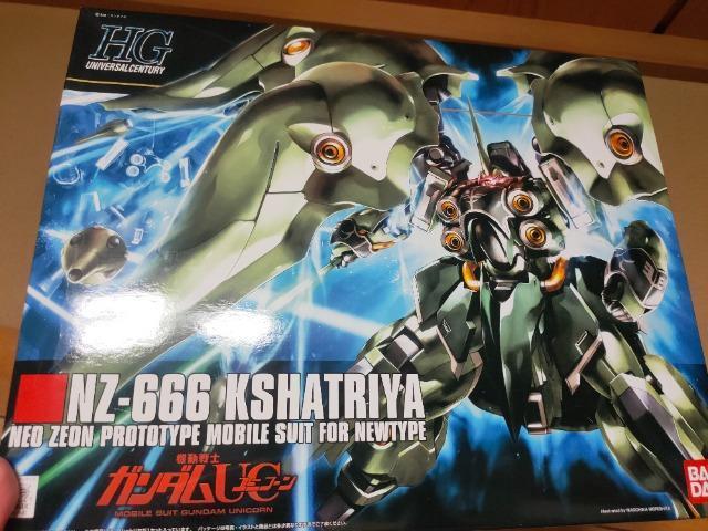 HG1/144NVg 