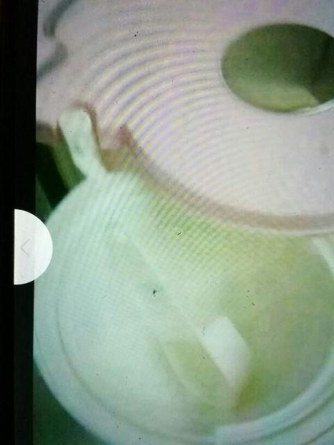 �e�B�[�ӂ��[��R�[�q�[���[�J�[�A�v���V�A�V���K�[�s���N �� �C���e���A/���C�t�� 