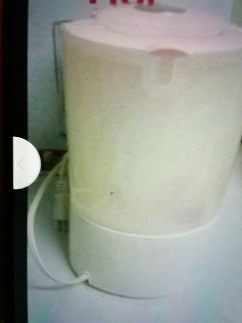 �e�B�[�ӂ��[��R�[�q�[���[�J�[�A�v���V�A�V���K�[�s���N �� �C���e���A/���C�t�� 