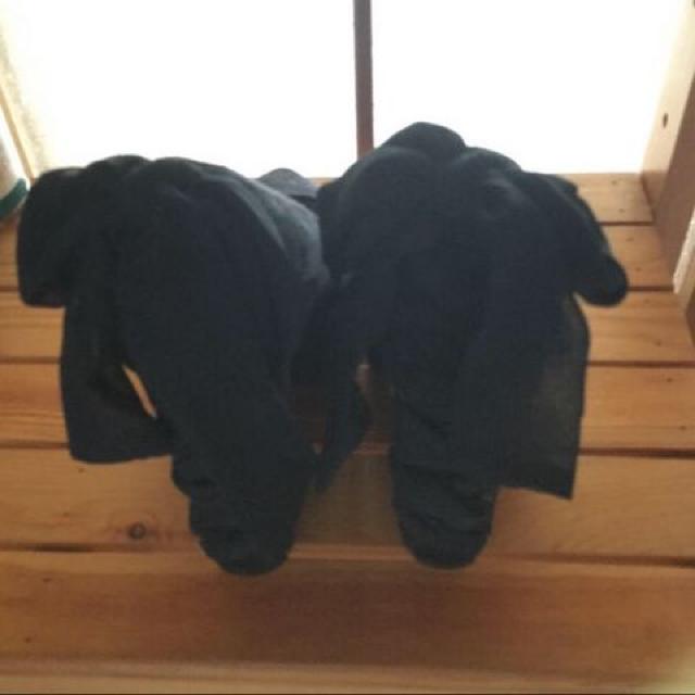 dazzlin pvX STCY  uh 