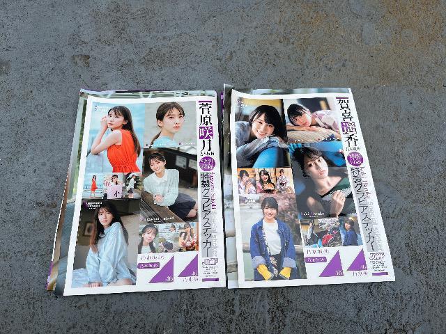 OWvT؍46XebJ[Zbg  ^gObY 