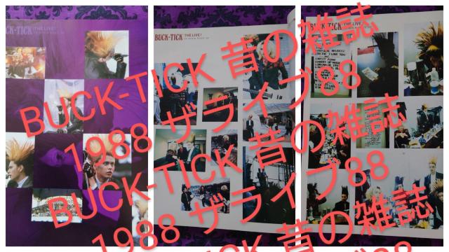 BUCK-TICK 昔の雑誌 1988 ザライブ88 UP-BEAT ブルーハーツ レッドウォリアーズ ALFEE < 本/雑誌 BUCK-TICK 昔の雑誌 1988 ザライブ88 UP-BEAT ブルーハーツ レッドウォリアーズ ALFEE < 本/雑誌の