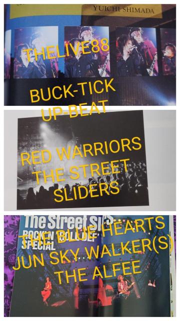 BUCK-TICK 昔の雑誌 1988 ザライブ88 UP-BEAT ブルーハーツ レッドウォリアーズ ALFEE < 本/雑誌 BUCK-TICK 昔の雑誌 1988 ザライブ88 UP-BEAT ブルーハーツ レッドウォリアーズ ALFEE < 本/雑誌の