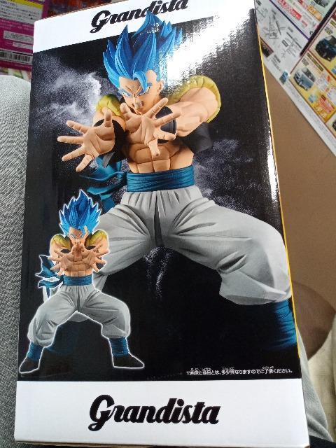 �V�i�A���J���@�t�B�M���A�@�h���S���{�[���@�O�����f�B�X�^ �� �A�j��/�R�~�b�N/�L�����N�^�[�� 