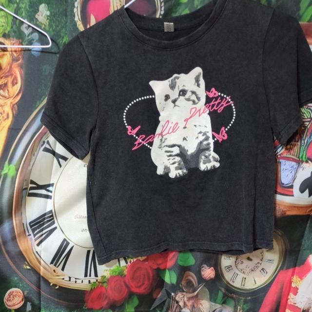 �`�rT�V���c  T�V���c �L  �~�j�[ �W�_�Z�b�g �� �L�b�Y/�x�r�[�� 