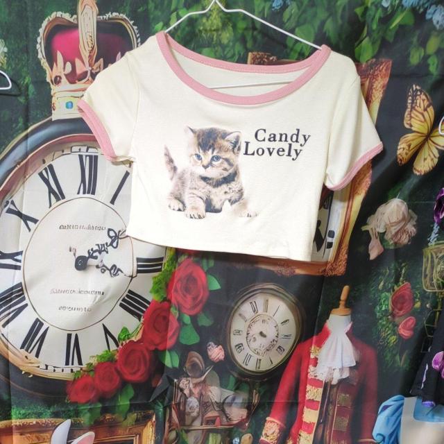 �`�rT�V���c  T�V���c �L  �~�j�[ �W�_�Z�b�g �� �L�b�Y/�x�r�[�� 