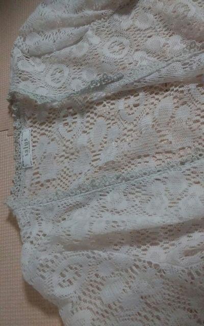 salus レース 美品 半袖 < 女性ファッション  salus レース 美品 半袖 < 女性ファッションの