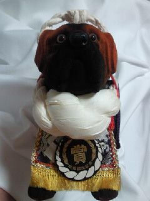 m y p A ~j`A tBMA D j   zr[ 