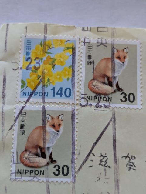 Lcl̎gpςݐ؎ƉF̉Ԃ̎gpςݐ؎   zr[ 