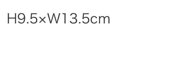 �G���t�^�����T���[�\���@�}�C�L�[�̃~�j�|�[�` �� �����t�@�b�V������ 